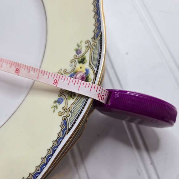 VTG (4) Paul Muller Selb "The Minto" #1328 Bavaria Germany 10" Dinner Plates - Picture 5 of 5